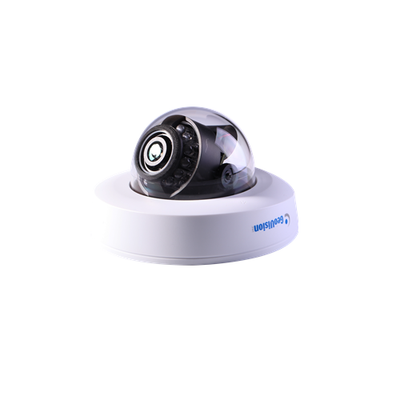 Geovision GV-EFD2100-2F Network Camera